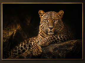Quadro Decorativo Leopardo Majestoso Deitado em Rocha